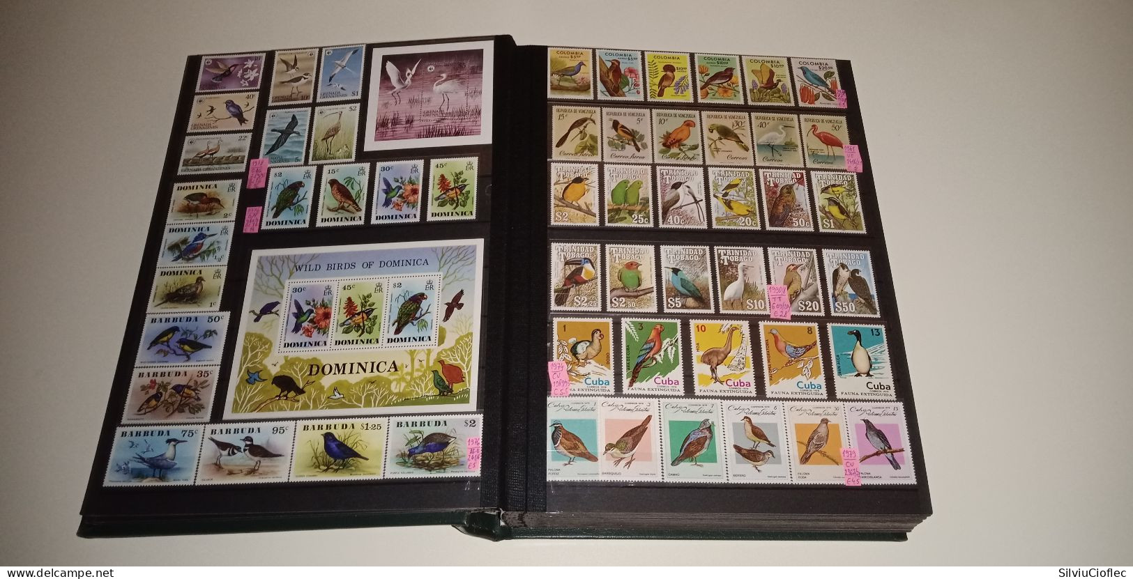 Birds Superb Stamp Collection,MNH(please read description)including 2 Leuchtturm PREMIUM album with slipcase A4 64 pages