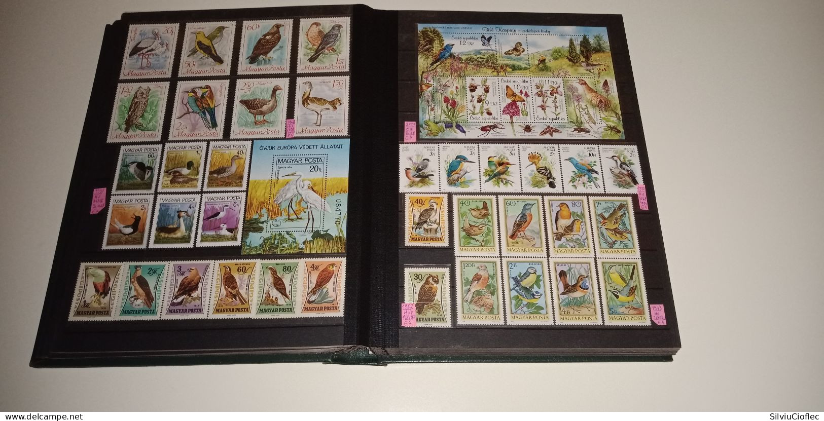 Birds Superb Stamp Collection,MNH(please read description)including 2 Leuchtturm PREMIUM album with slipcase A4 64 pages