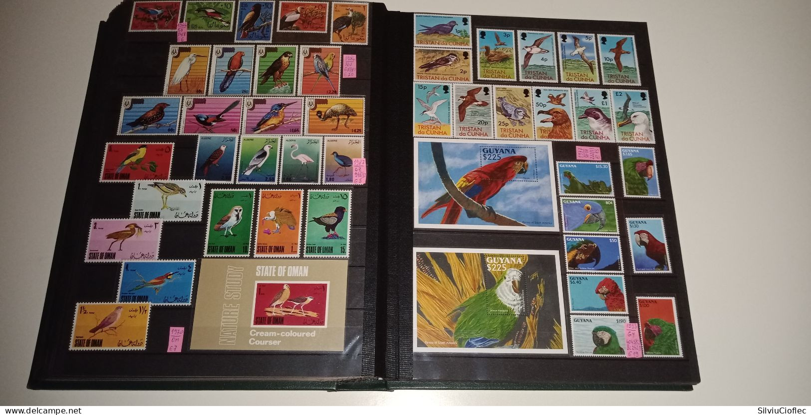 Birds Superb Stamp Collection,MNH(please read description)including 2 Leuchtturm PREMIUM album with slipcase A4 64 pages