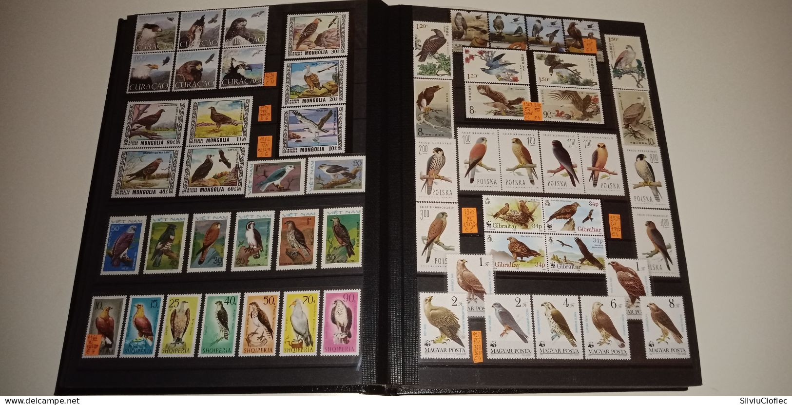 Birds Superb Stamp Collection,MNH(please read description)including 2 Leuchtturm PREMIUM album with slipcase A4 64 pages