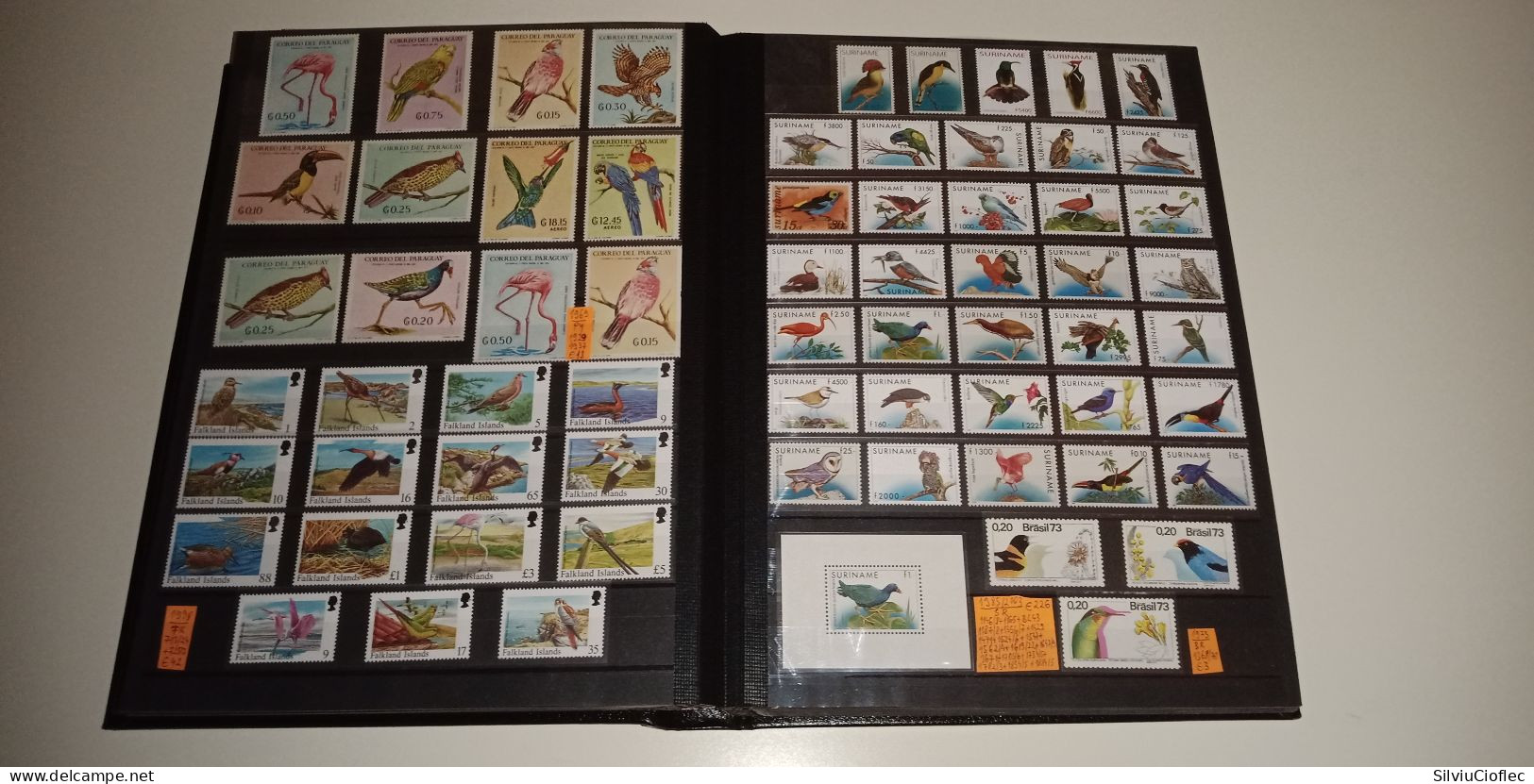 Birds Superb Stamp Collection,MNH(please read description)including 2 Leuchtturm PREMIUM album with slipcase A4 64 pages