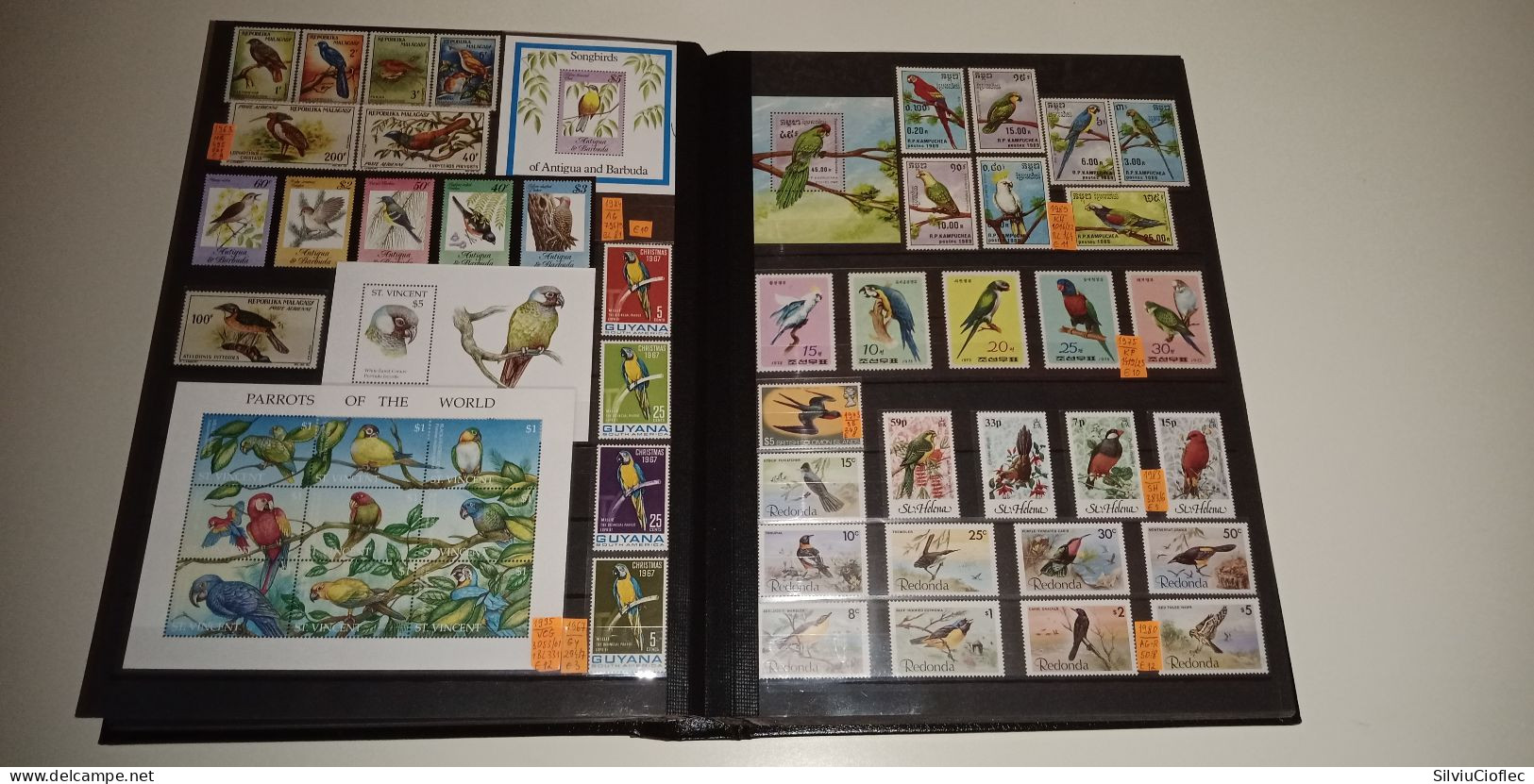 Birds Superb Stamp Collection,MNH(please read description)including 2 Leuchtturm PREMIUM album with slipcase A4 64 pages