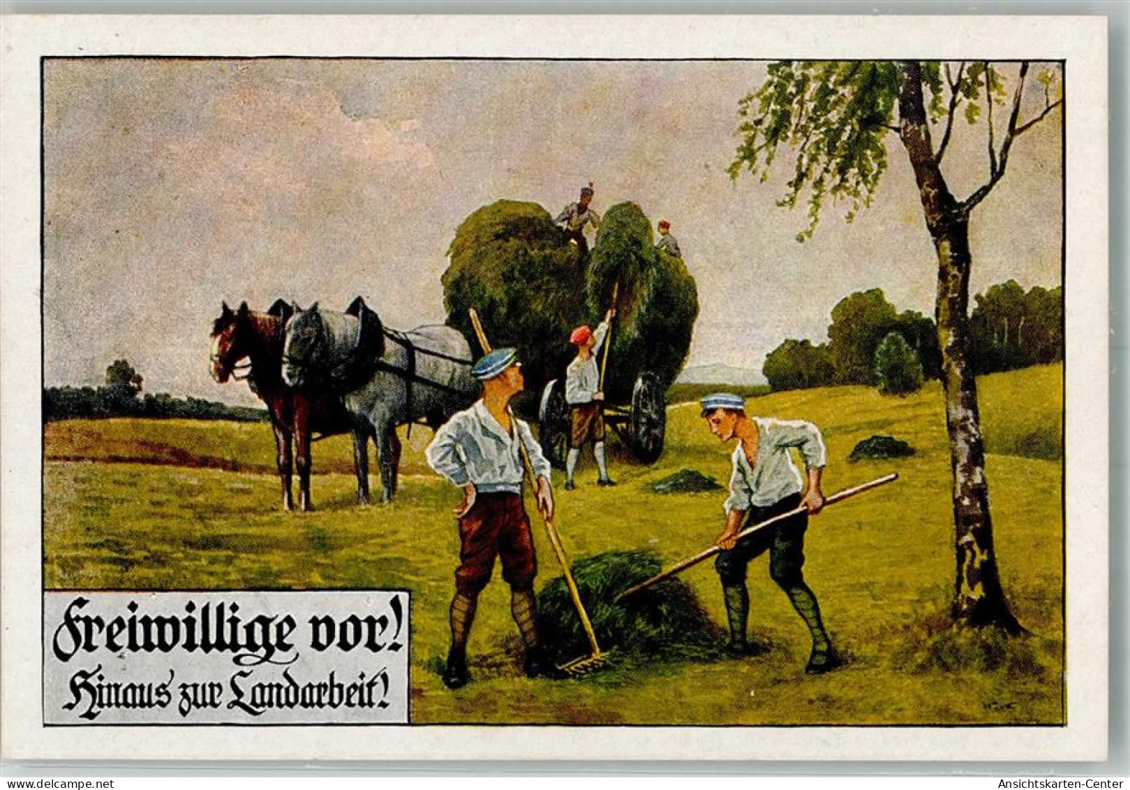 13982011 - Freiwillige Vor  Zur Landarbeit  Landwirtschaft  Heuernte Berufe - War 1914-18