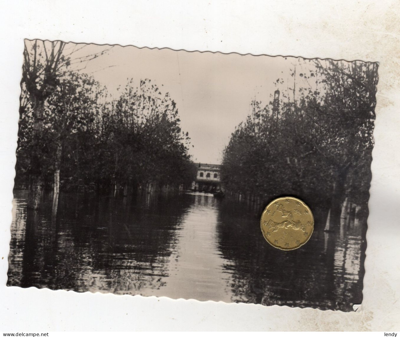 1951 POLESINA ADRIA ALLUVIONATA  Rovigo Non Viaggiata - Rovigo