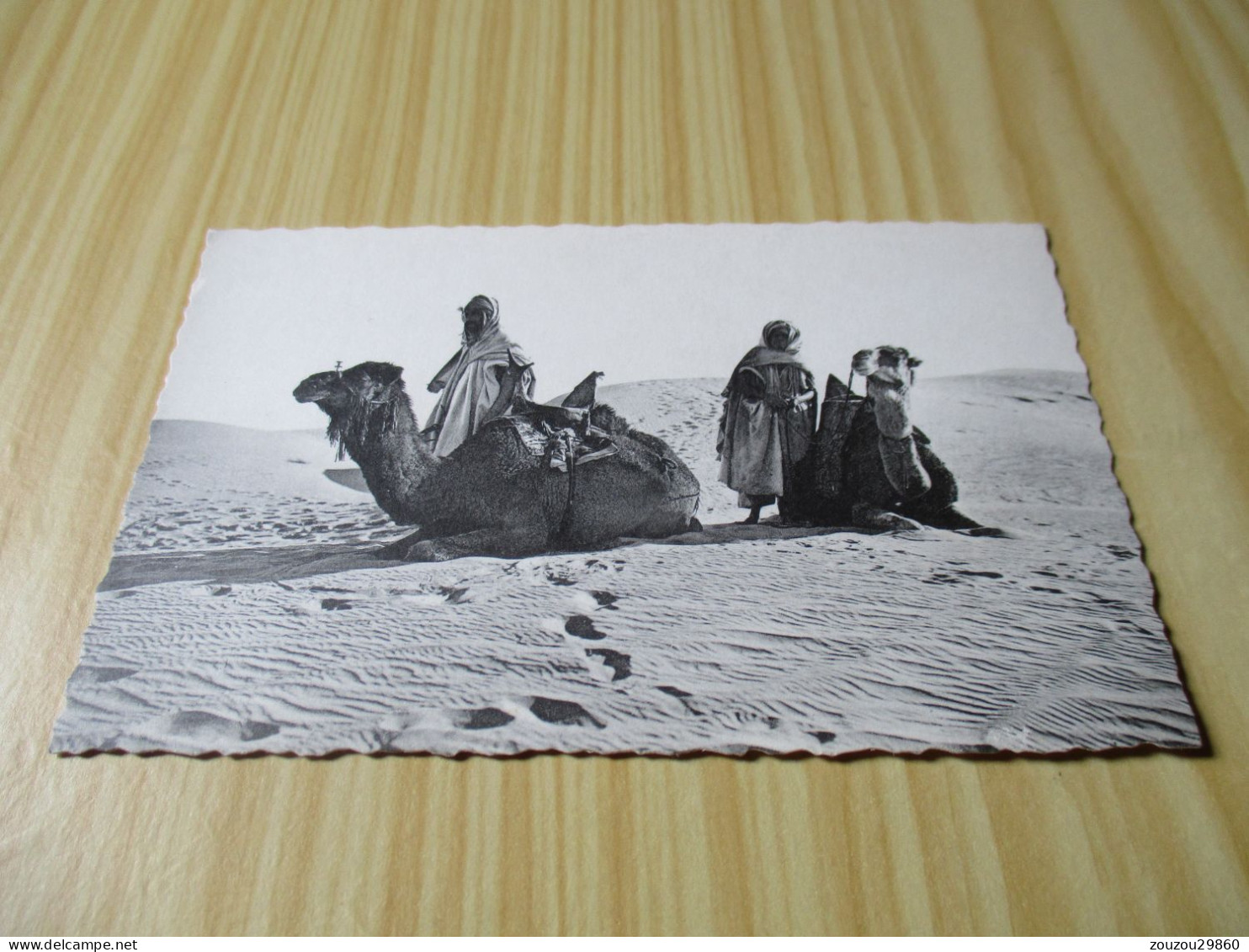 CPSM Afrique Du Nord - Repos Dans Les Dunes. - Non Classés