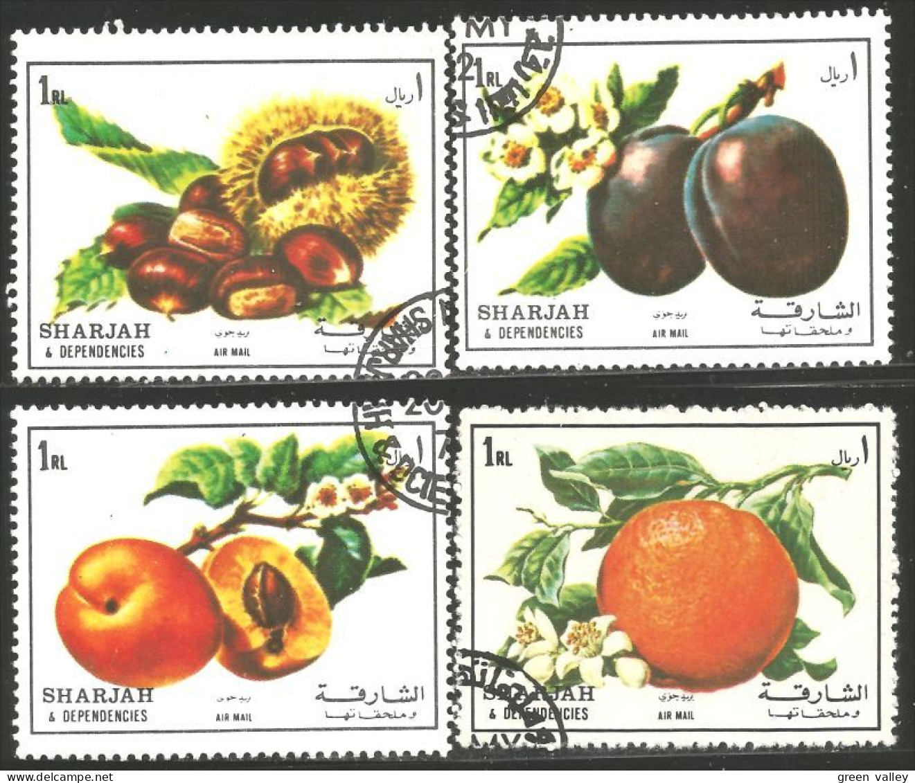 FR-36 Sharjah Marron Prune Pêche Orange Chestnut Plum Peach - Fruits