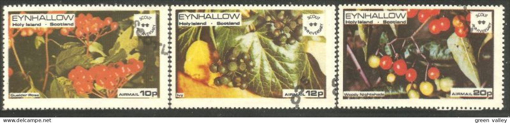 FR-7 Eynhallow Scotland Fruits Scout Anniversary - Used Stamps