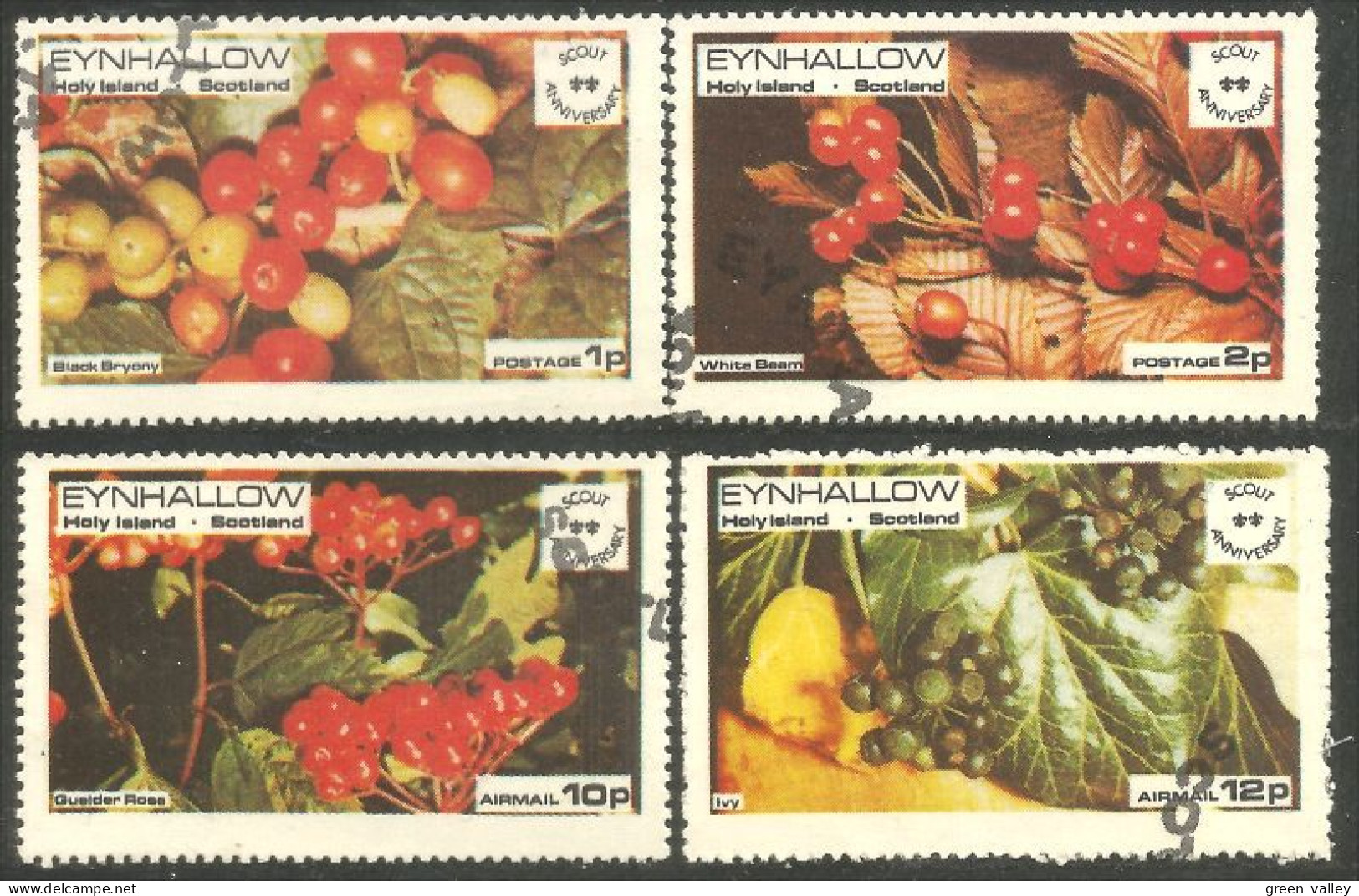 FR-6 Eynhallow Scotland Fruits Ivy Gueider Rose Bryany Lierre - Fruits