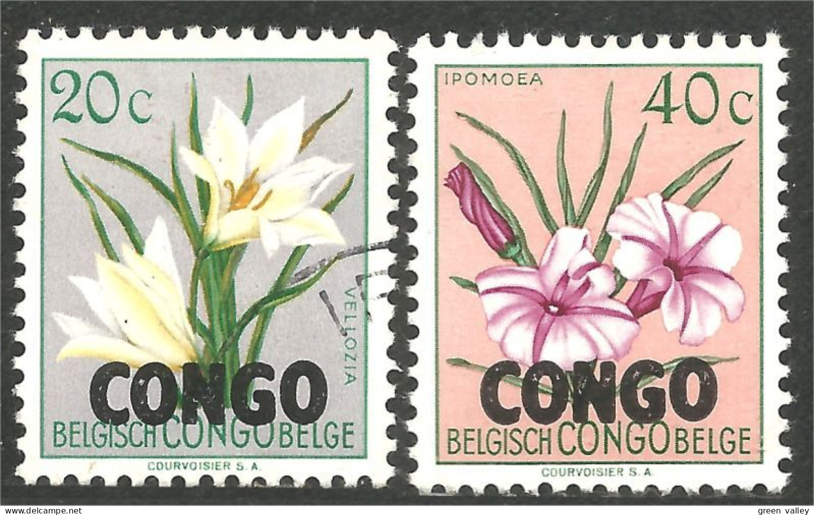 FL-89 Congo Fleurs Flowers Blume MH * Neuf - Other & Unclassified