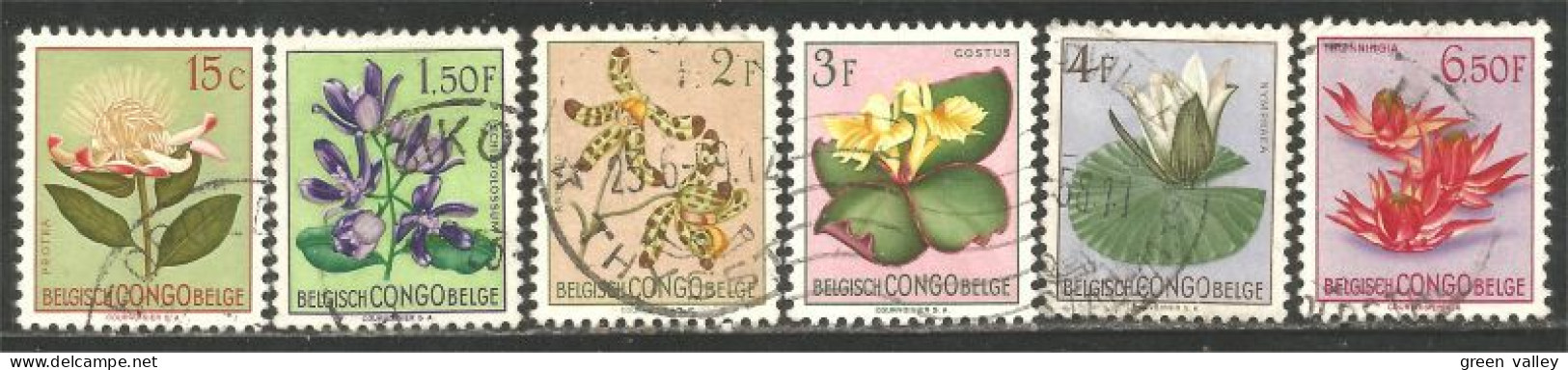 FL-84 Congo Belge Fleurs Flowers 15c Au 6F 50 - Other & Unclassified
