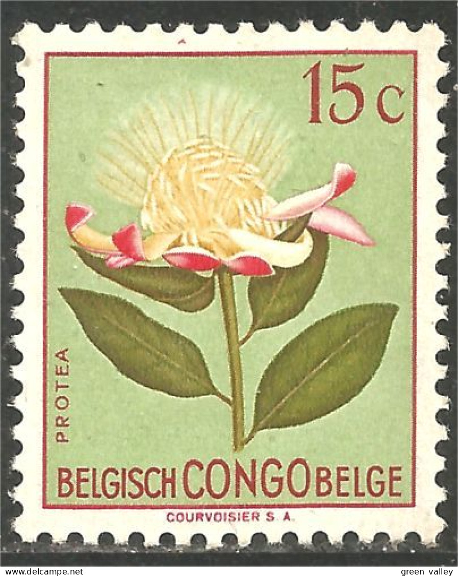 FL-82 Congo Belge 15c Fleur Protea Flower MH * Neuf - Other & Unclassified