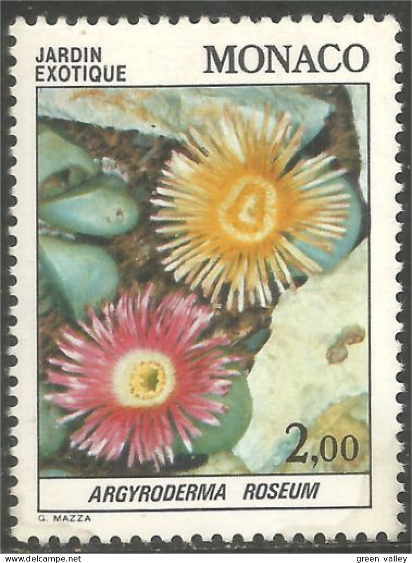 FL-73a Monaco Succulent Cactus Cactii Argyroderma Roseum MNH ** Neuf SC - Other & Unclassified