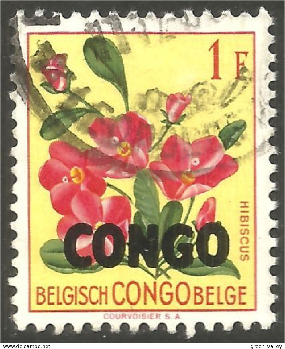 FL-56 Congo Hibiscus - Sonstige & Ohne Zuordnung