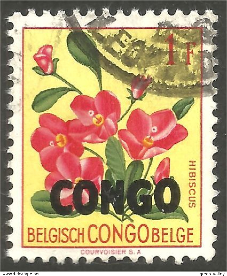 FL-57 Congo Hibiscus - Sonstige & Ohne Zuordnung