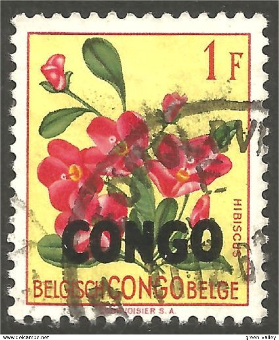 FL-55 Congo Hibiscus - Sonstige & Ohne Zuordnung