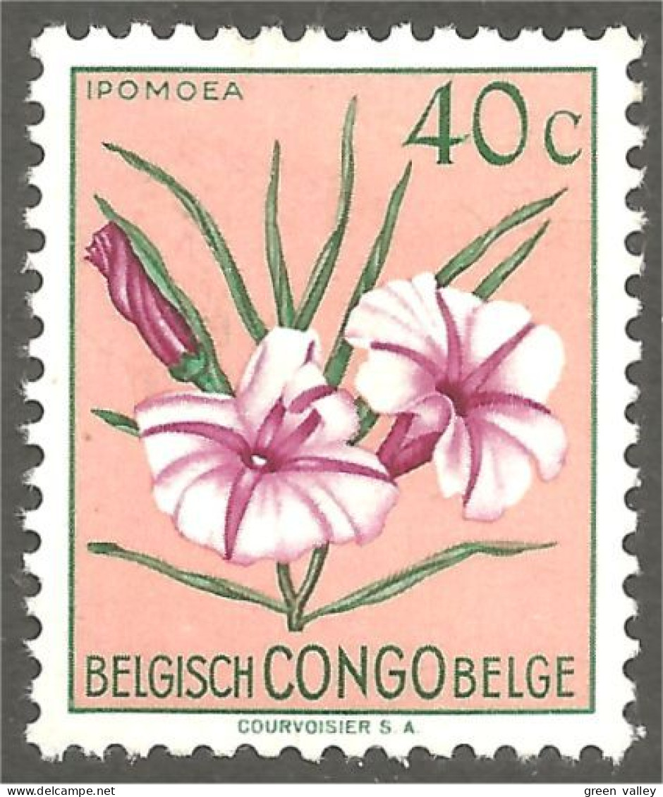 FL-49 Congo Belge Orchidée Orchid Orchidee Orchidea Orquidea MH * Neuf CH - Orchidées