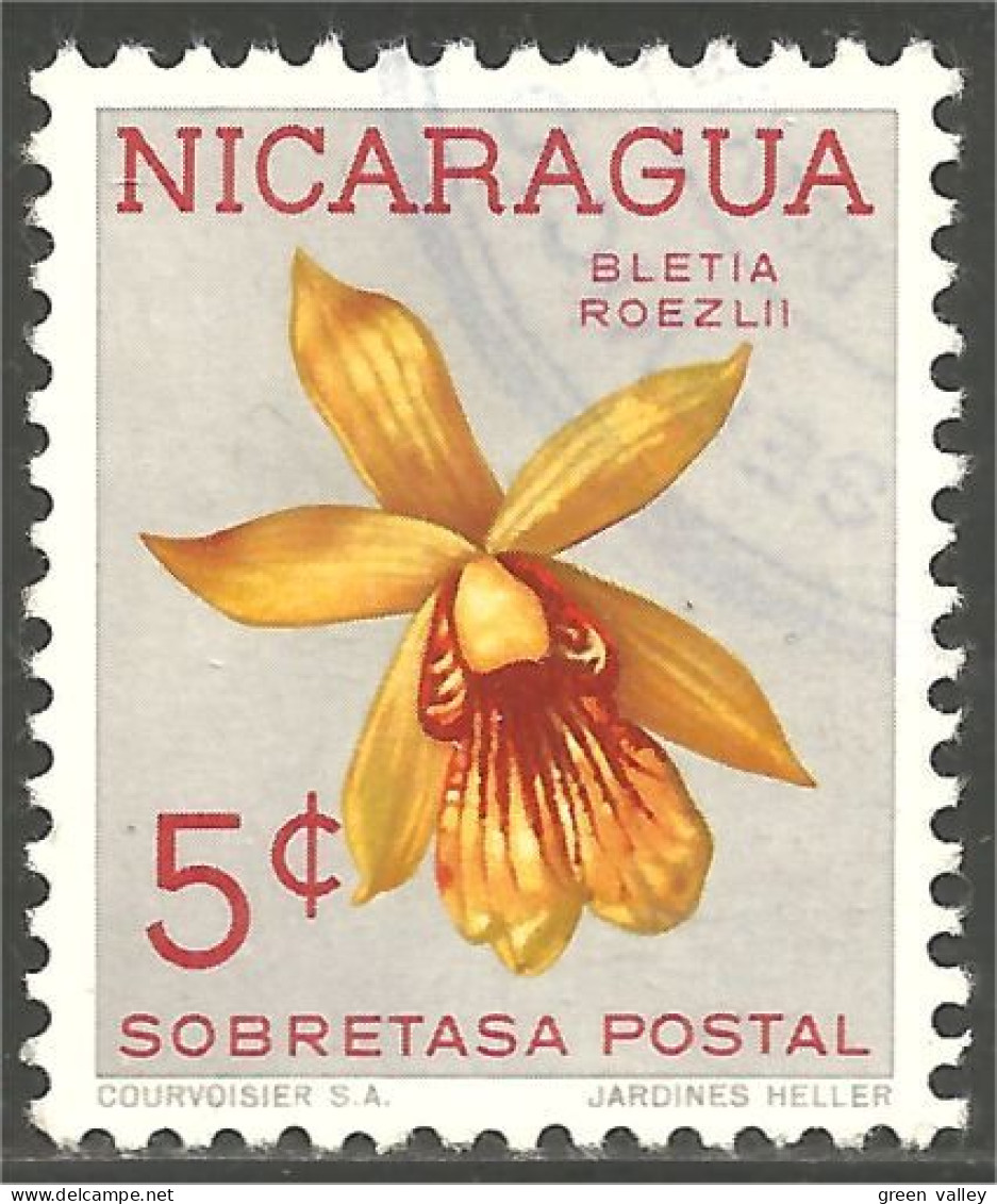 FL-31 Nicaragua Orchidée Orchid Orchidee Orchidea Orquidea - Orchidées
