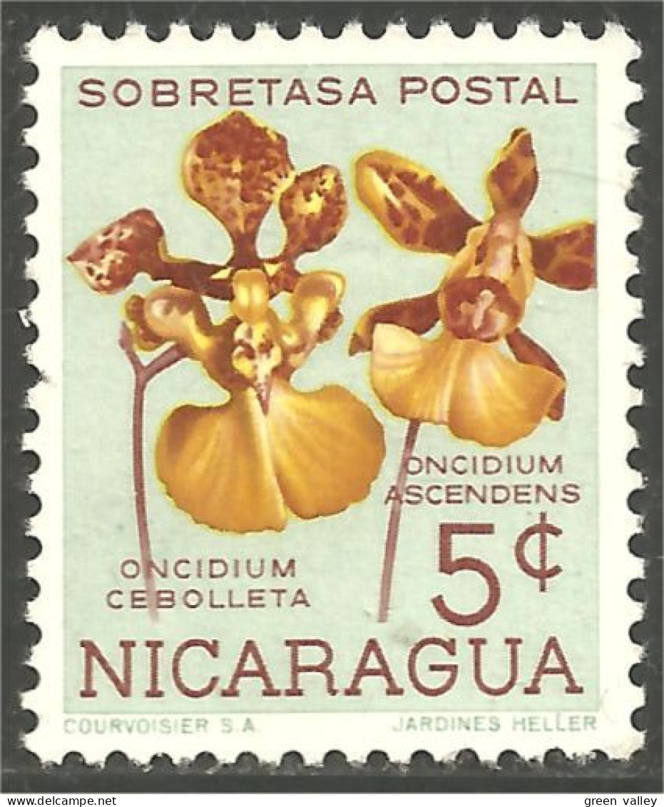 FL-32 Nicaragua Orchidée Orchid Orchidee Orchidea Orquidea - Orchidées
