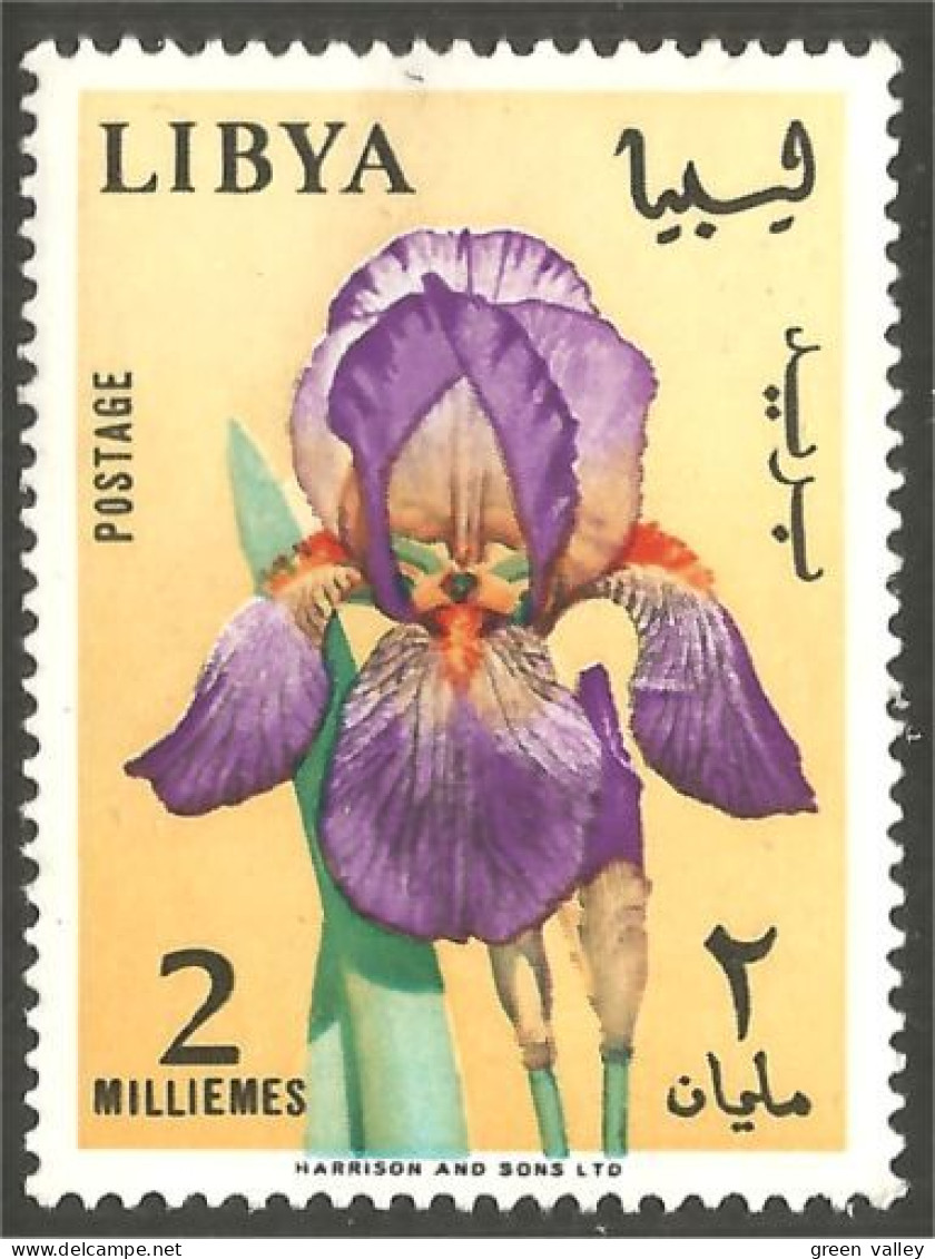 FL-20 Lybia Iris MNH ** Neuf SC - Other & Unclassified