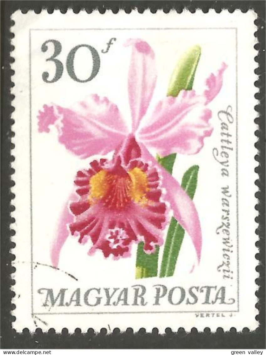 FL-17 Magyar Posta Orchidée Orchid Orchidee Orchidea Orquidea - Orchidées