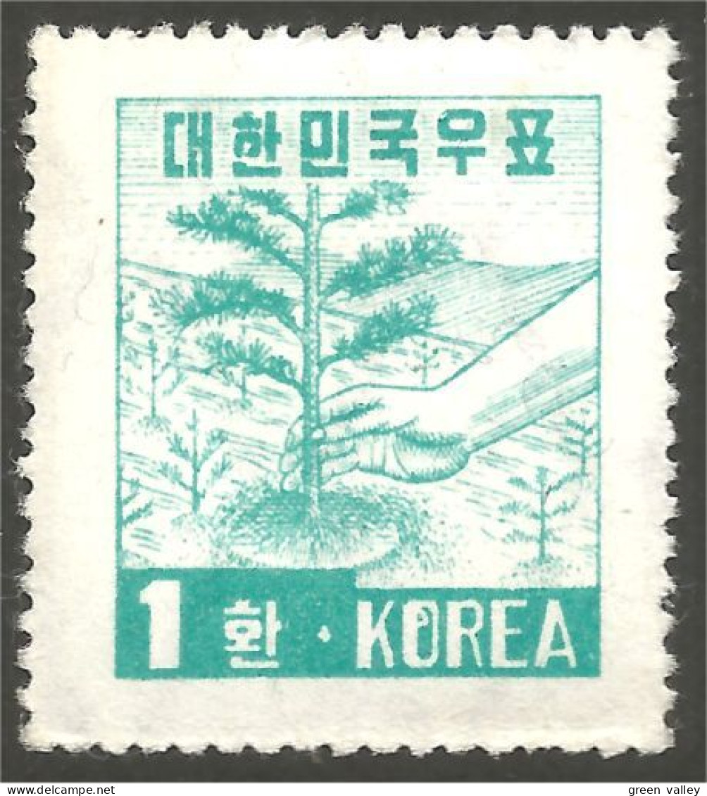 AR-5 Corée Arbre Tree Albero Baum Arbol Boom MH * Neuf CH - Bäume