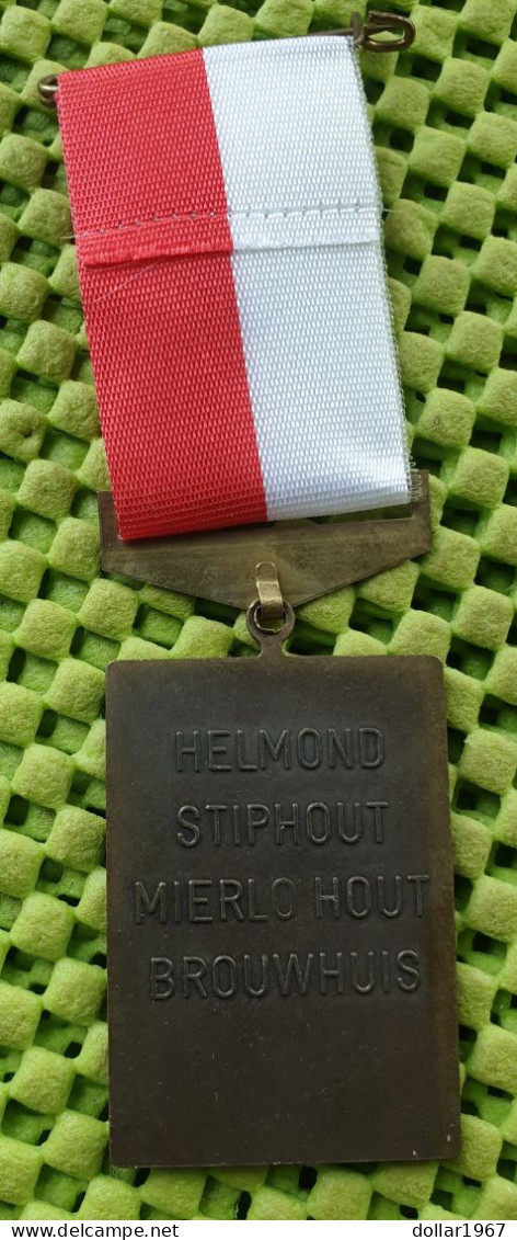 Medaile   :  Avondvierdaagse 1987 - Liegbank - Helmond  -  Original Foto  !!  Medallion  Dutch . - Sonstige & Ohne Zuordnung