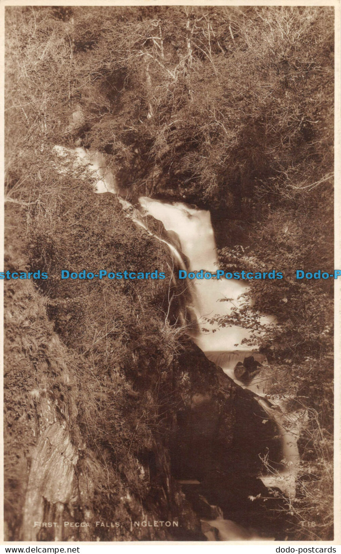 R056950 First Pecca Falls. Ingleton. Walter Scott. RP - Monde