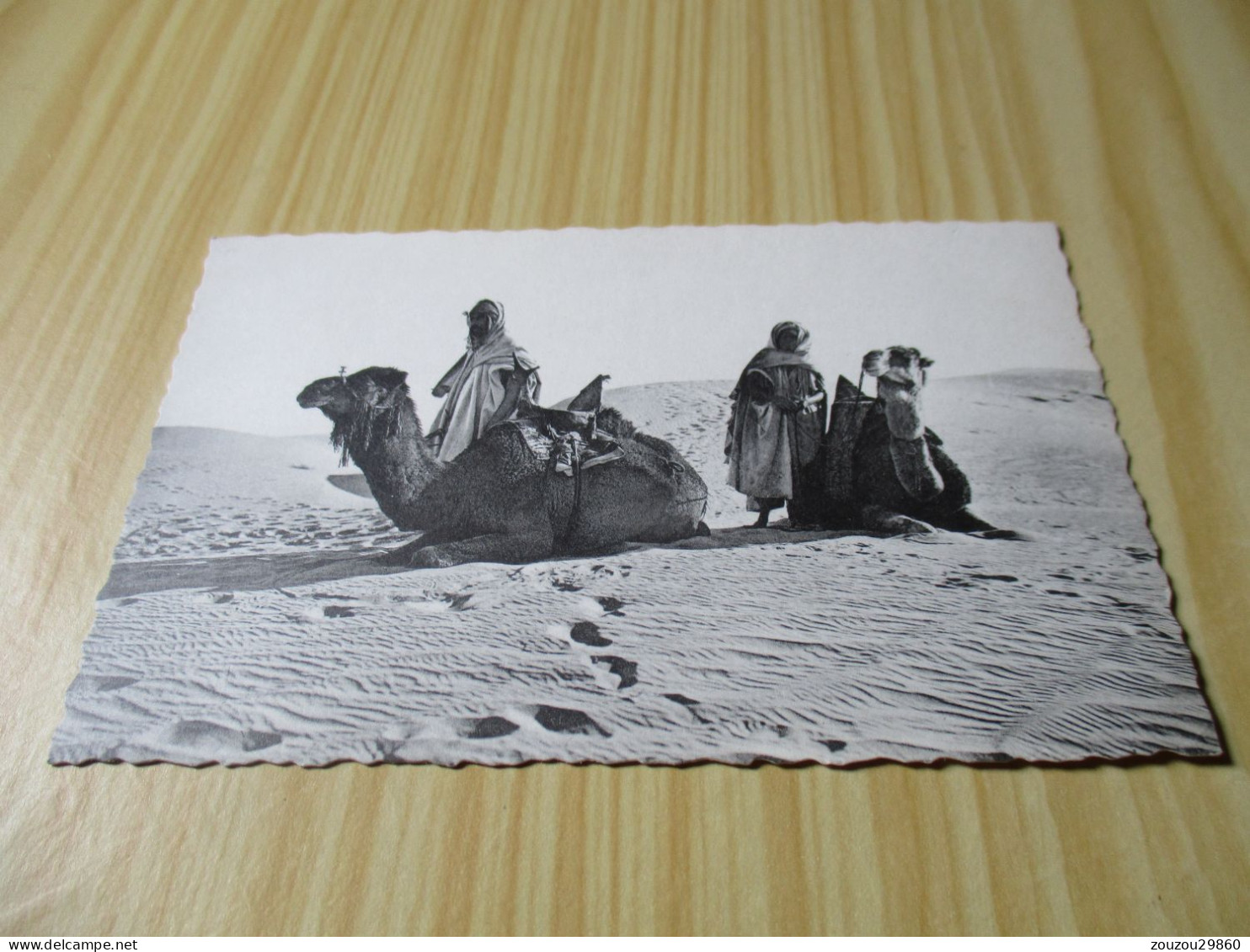 CPSM Afrique Du Nord - Repos Dans Les Dunes - Carte Animée. - Ohne Zuordnung