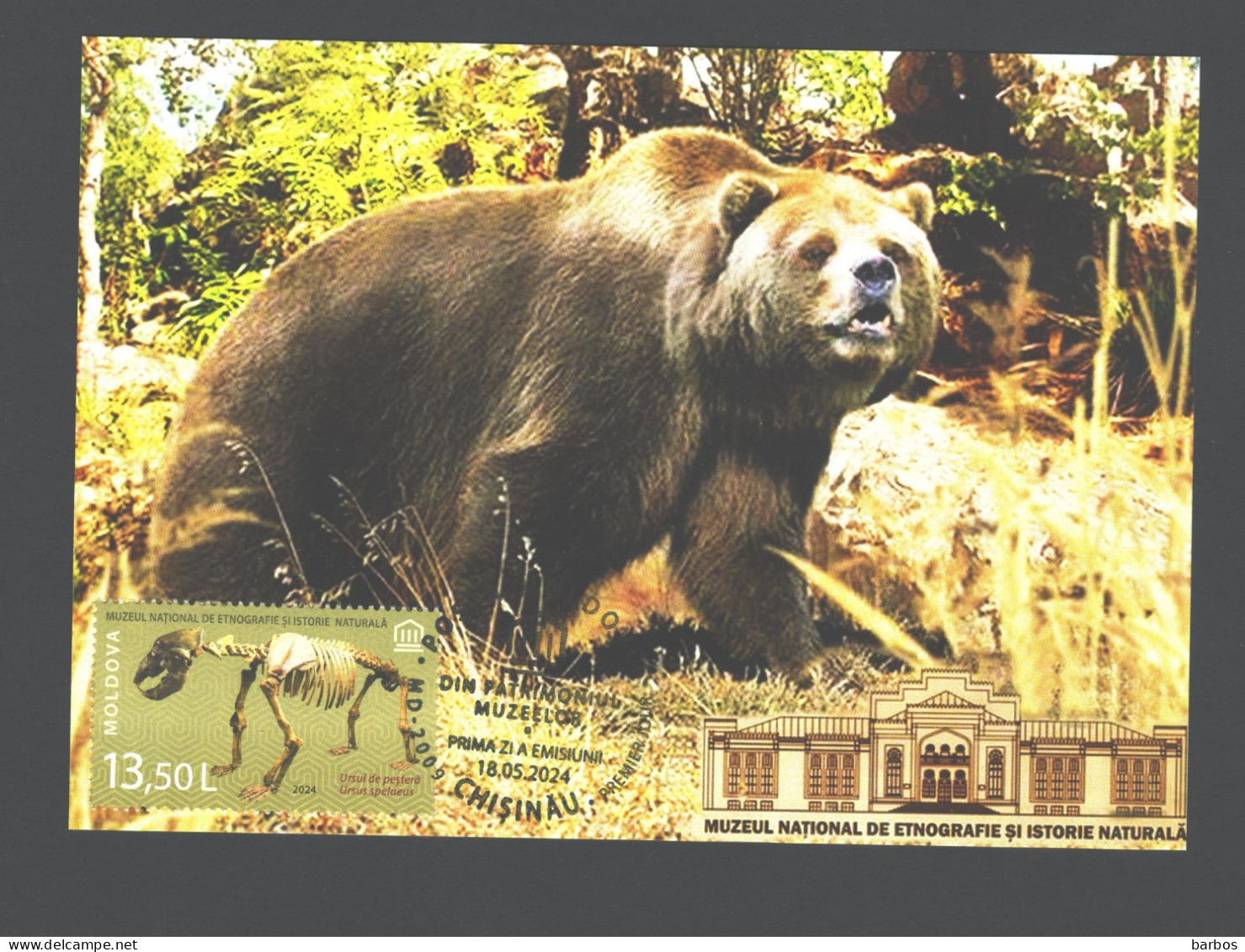 Moldova , 2024 , From The Museums’ Patrimony, Cave Bear , Paleontology , Maxicard - Moldavië