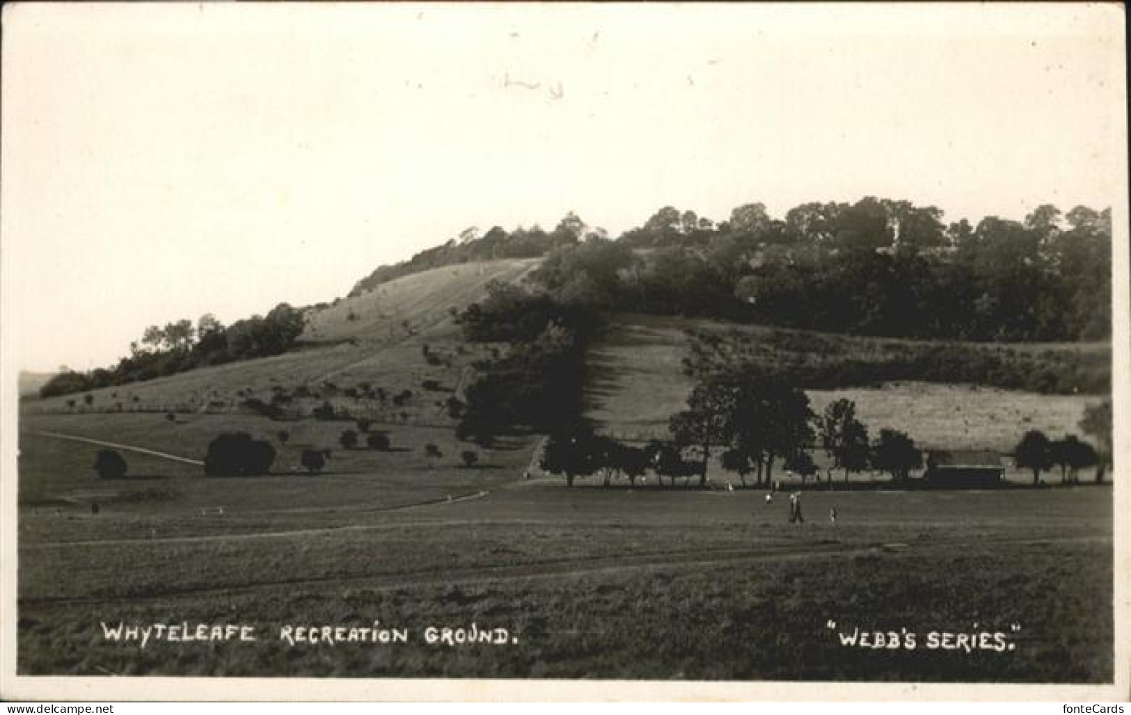 10990530 Whyteleafe  Tandridge - Surrey