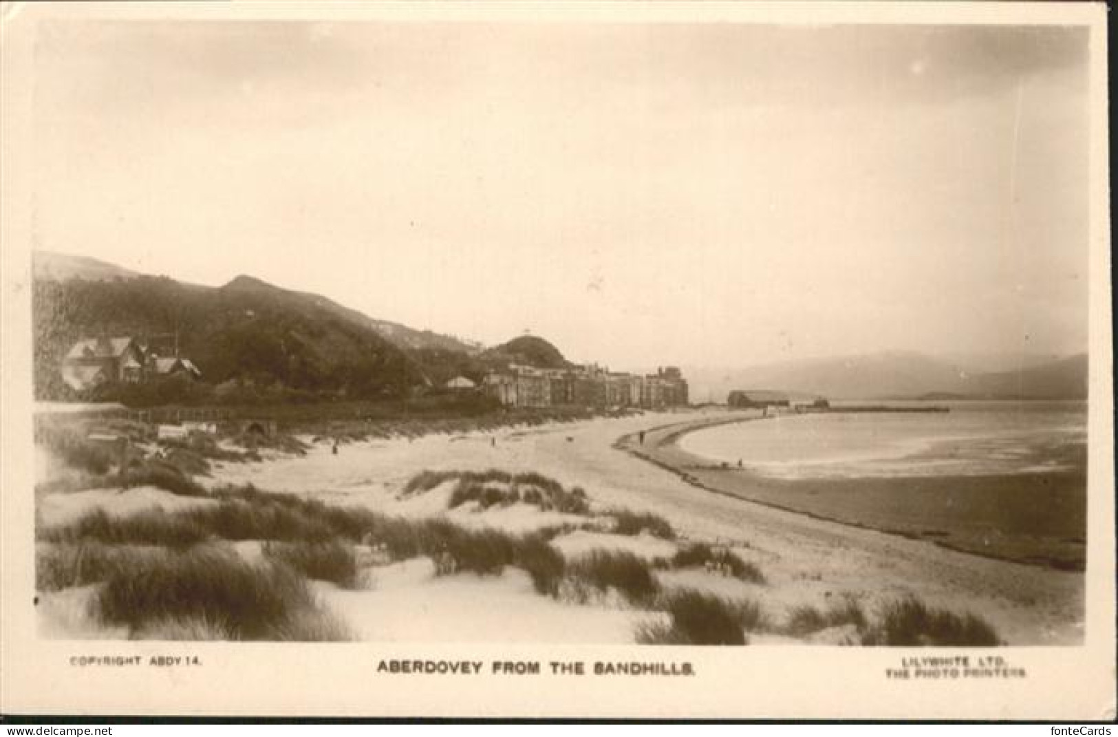 10990295 Aberdovey Bandhills Gwynedd - Other & Unclassified