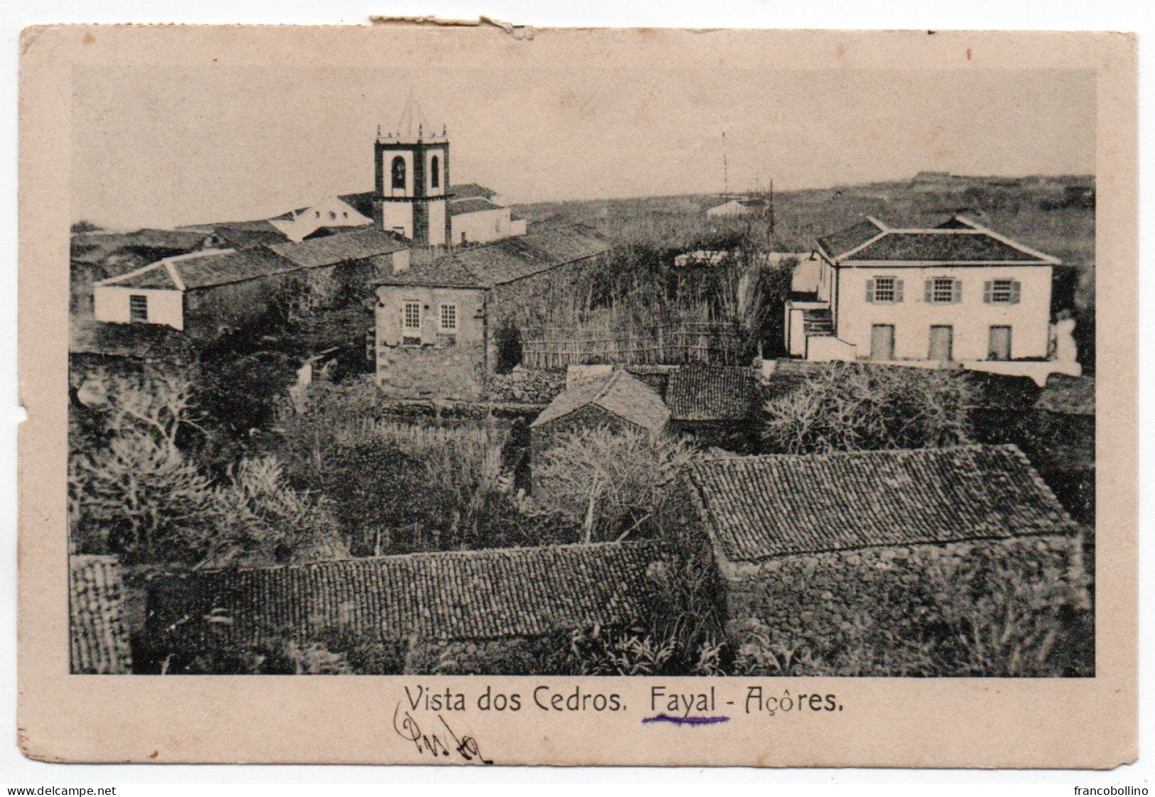 PORTUGAL / ACORES / AZORES - VISTA DOS CEDROS - FAYAL 1919 - Açores