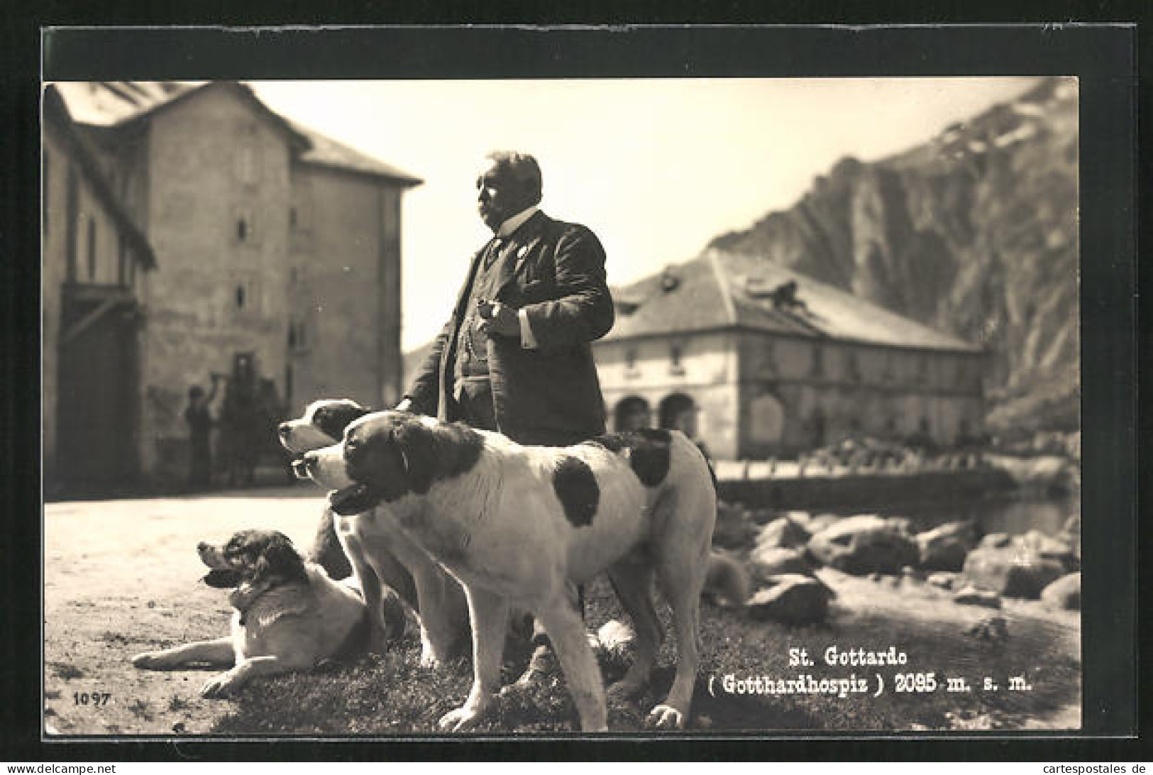 AK St. Gottardo, Gotthardhospiz, Hotelbesitzer Mit Bernhardinern  - Autres & Non Classés