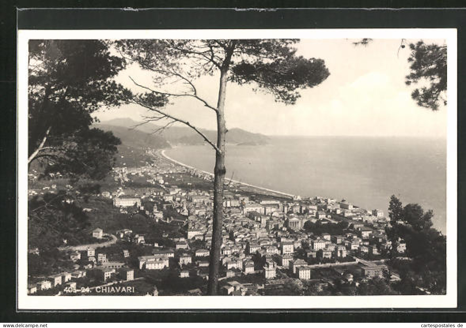 Cartolina Chiavari, Panorama Mit Dem Mittelmeer  - Autres & Non Classés