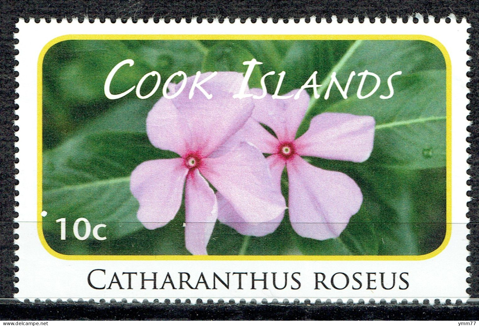 Série Courante. Fleurs : Catharanthus Roseus - Cook Islands