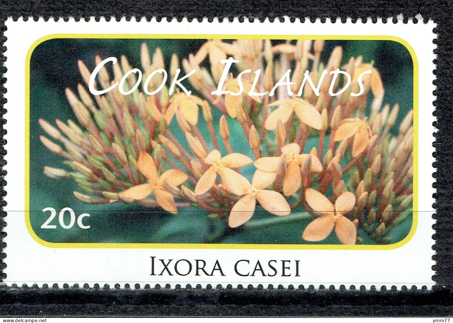 Série Courante. Fleurs : Ixora Casei - Cook Islands