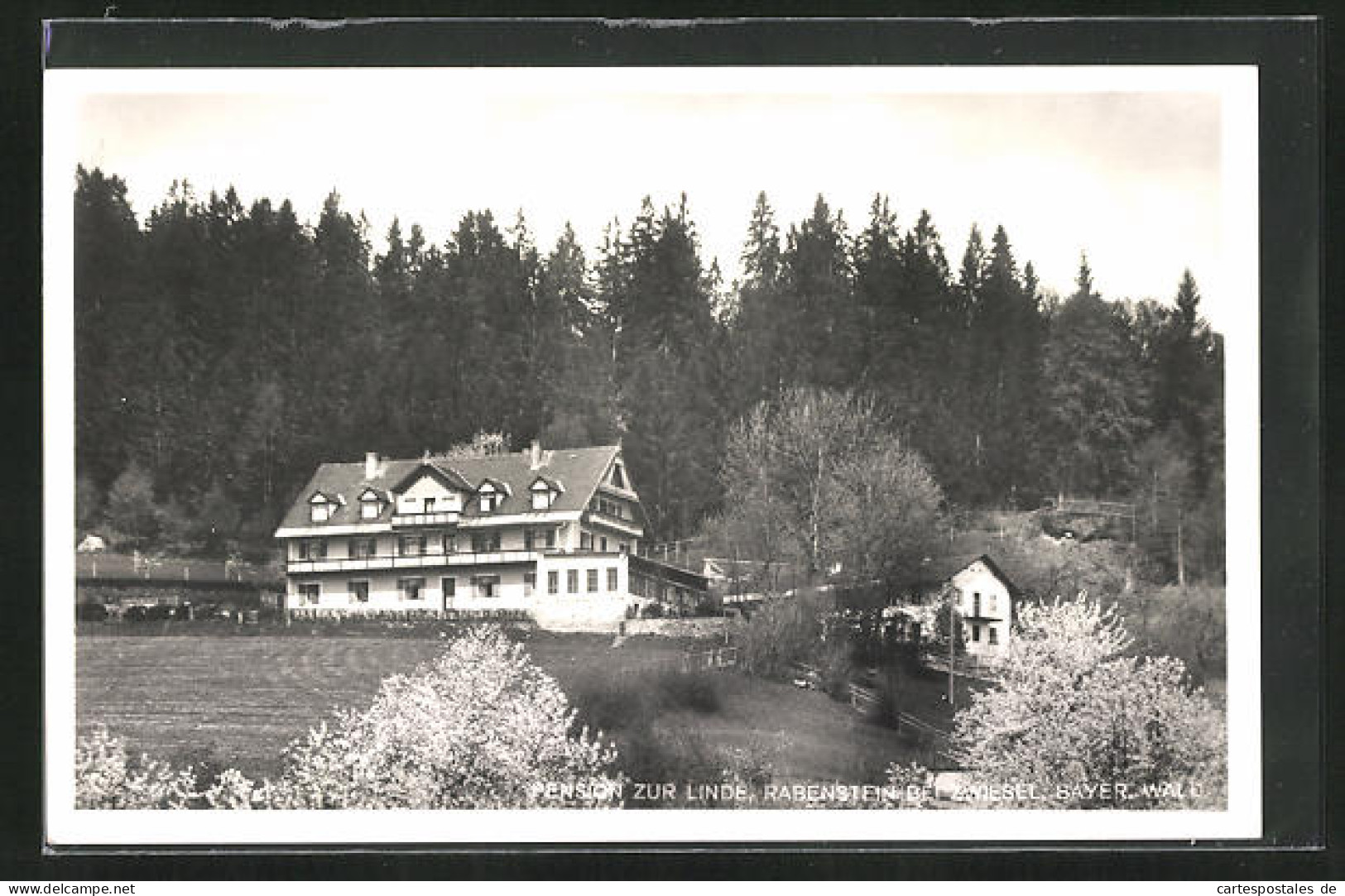 AK Rabenstein B. Zwiesel /bayr. Wald, Gasthof Und Hotel Zur Linde  - Zwiesel