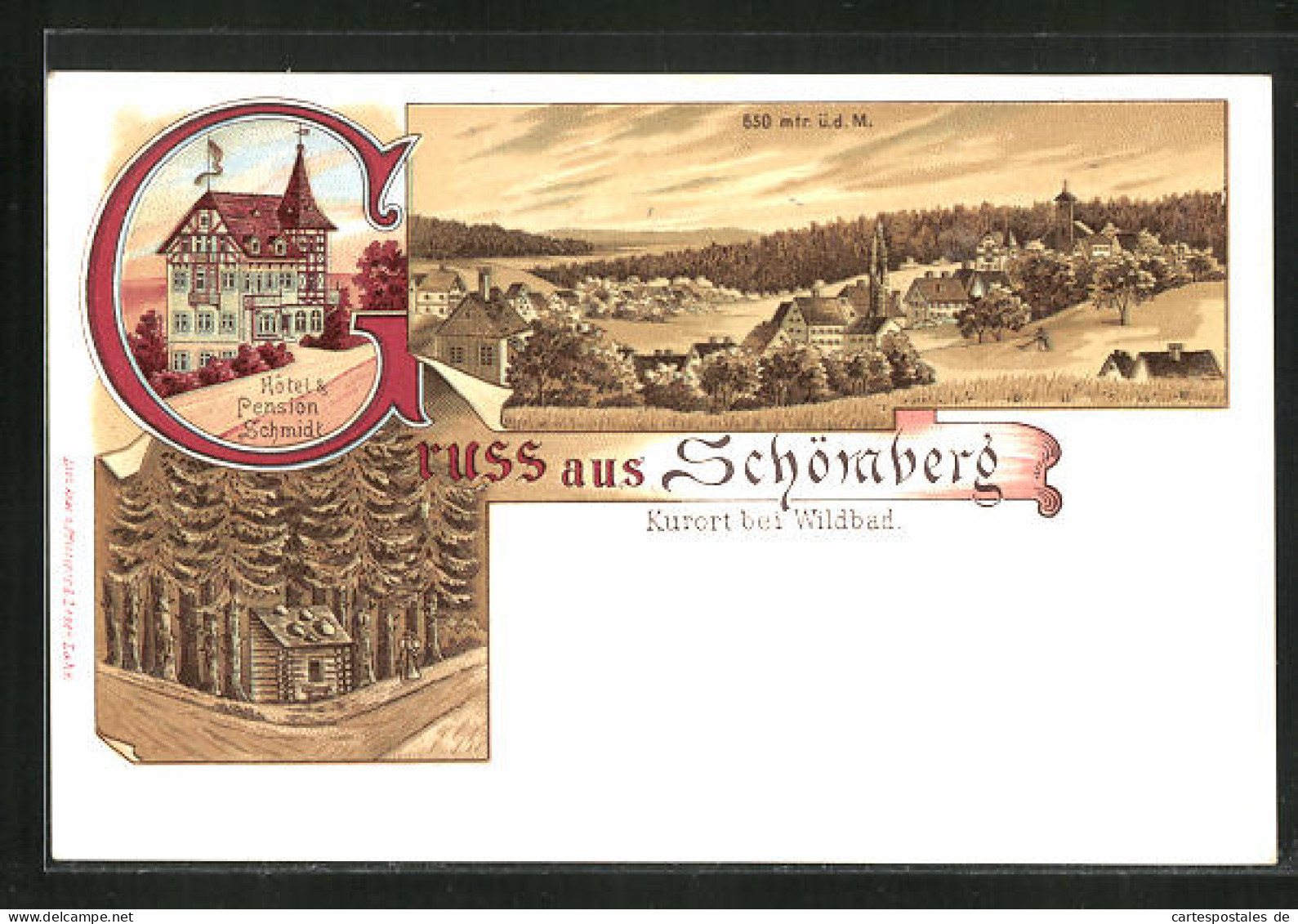 Lithographie Schömberg B. Wildbad, Hotel Schmidt, Ortsansicht  - Schömberg