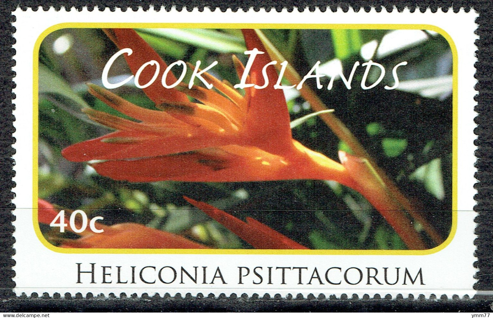 Série Courante. Fleurs : Heliconia Psittacorum - Cook