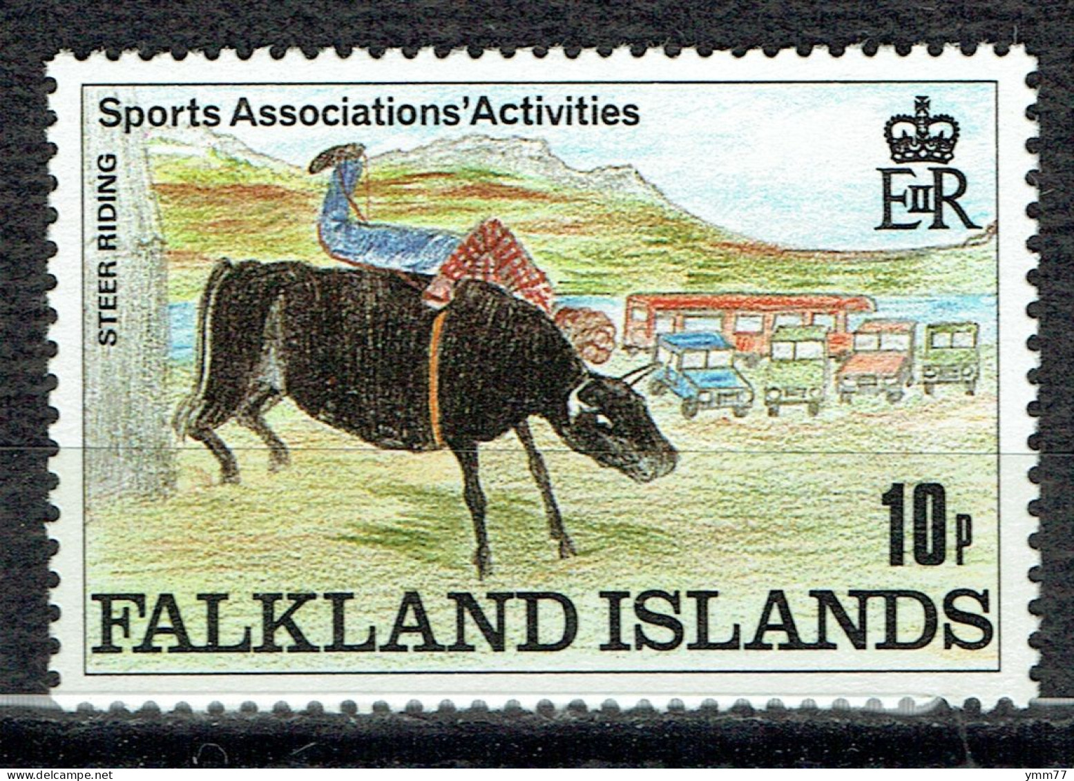 Activités Sportives Dans Les Associations. Dessins D'enfants : Monte De Bouvillons - Falkland