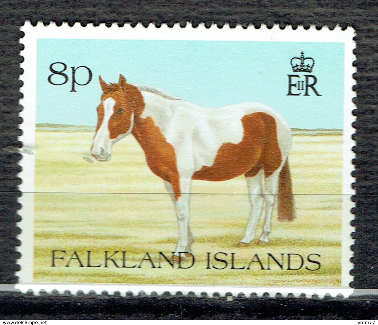 Faune. Animaux Familiers : Poney - Falkland Islands