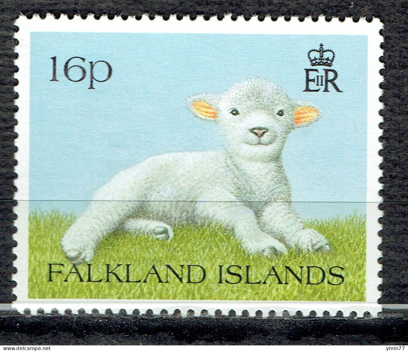 Faune. Animaux Familiers : Agneau - Falkland