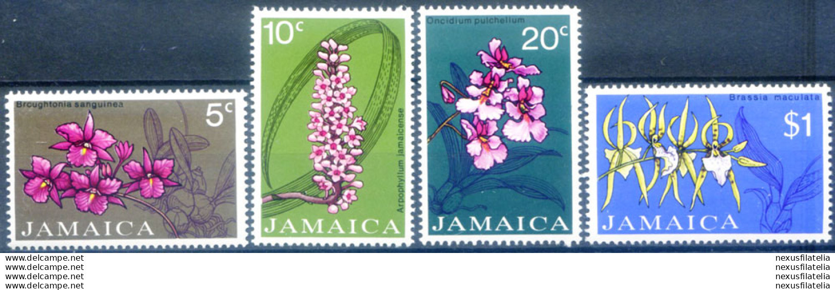 Flora. Orchidee 1973. - Jamaica (1962-...)