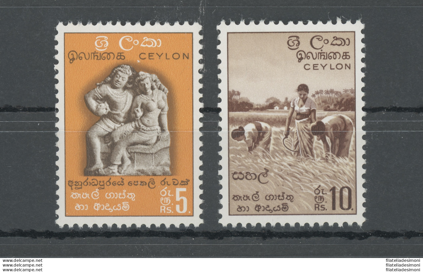 1951-54 Ceylon, Stanley Gibbons N. 429-30, 2 Alti Valori, MNH** - Other & Unclassified