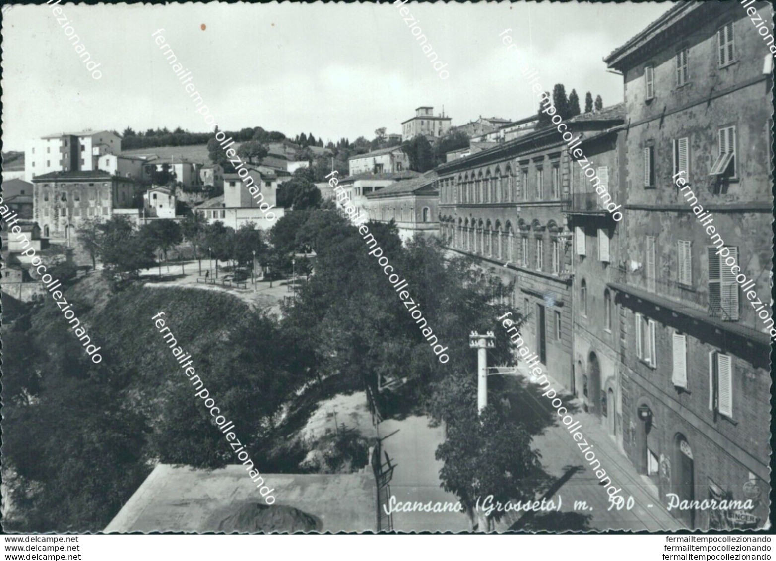 Bo571 Cartolina Scansano Panorama Provincia Di Grosseto - Grosseto