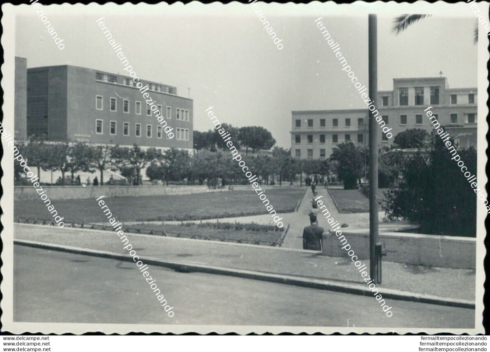 Az655 Foto Privata  S.vittorino Roma 1954 - Latina