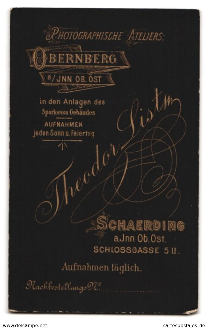 Fotografie Theodor List, Schaerding A. Inn, Schlossgasse 5, Portrait Stattlicher Herr In Modischer Kleidung  - Personnes Anonymes