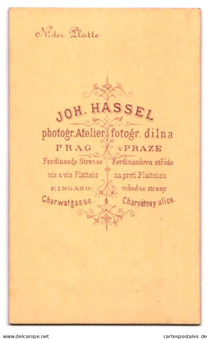 Fotografie Joh. Hassel, Prag, Ferdinands Strasse, Portrait Junger Herr Im Anzug Mit Fliege  - Personnes Anonymes