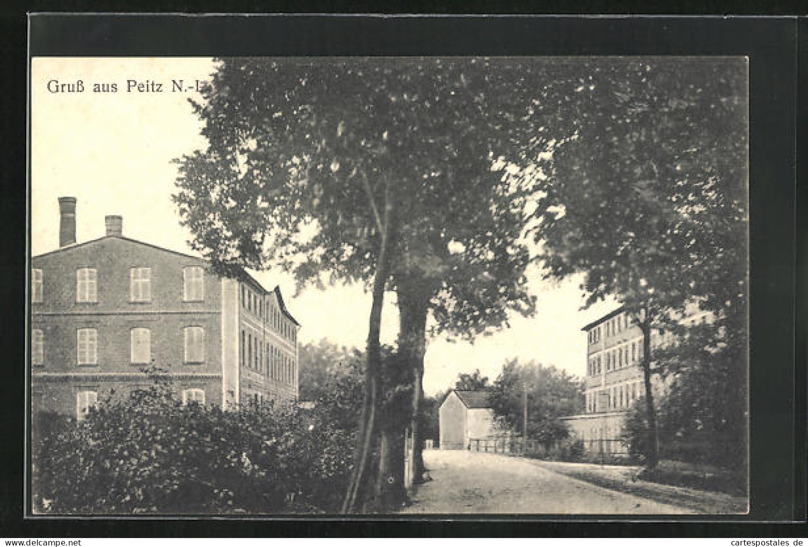 AK Peitz /N.-L., Strasse Mit Bäumen Und Fabrikhäusern  - Peitz