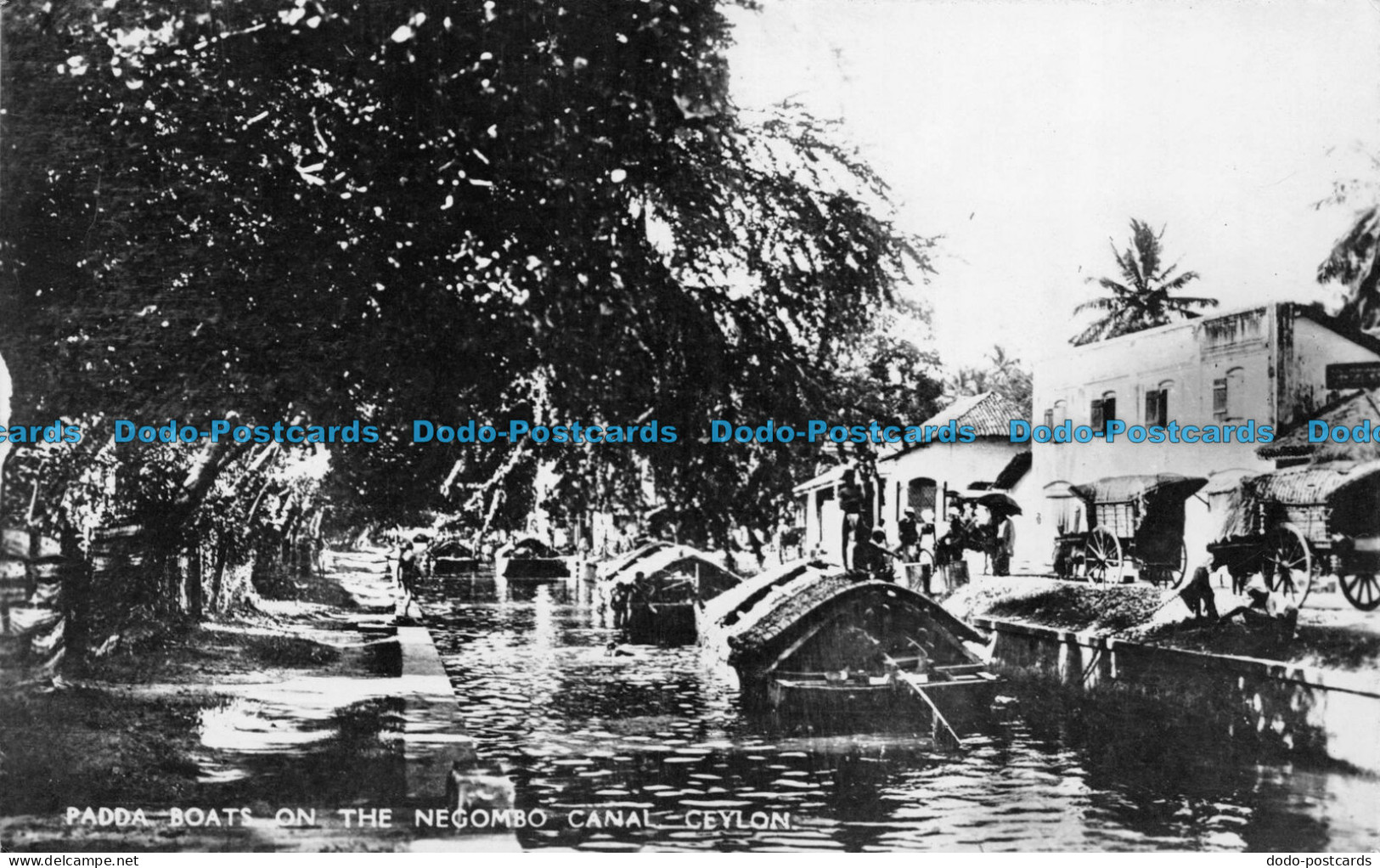 R057471 Padda Boats On The Negombo Canal. Ceylon. Plate. B. Hopkins - World
